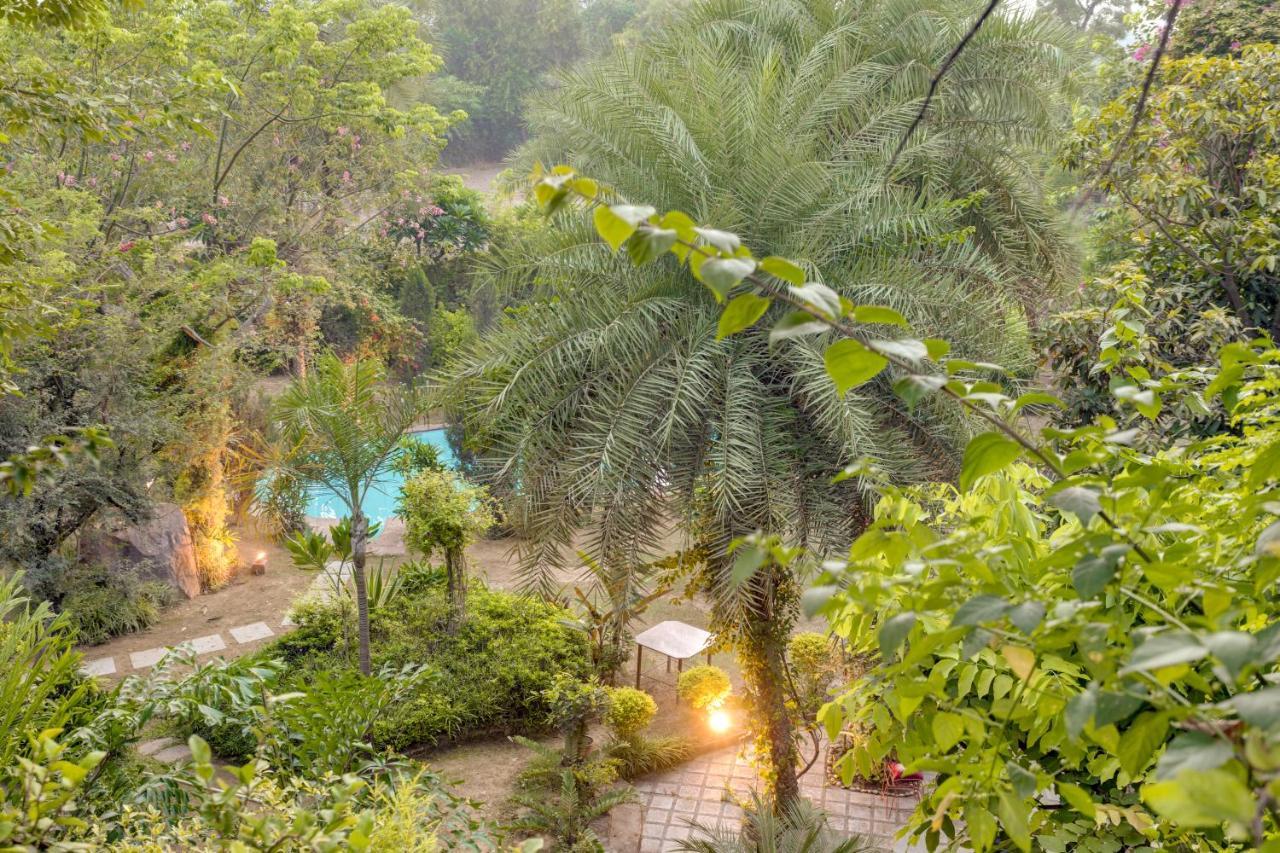 Hostie Chinar Haveli - Heritage Home With Pool, Gurgaon Exterior photo
