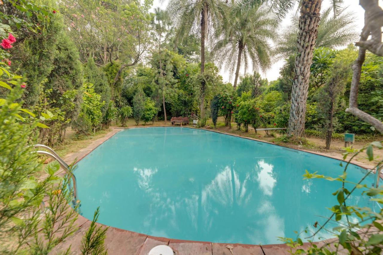 Hostie Chinar Haveli - Heritage Home With Pool, Gurgaon Exterior photo